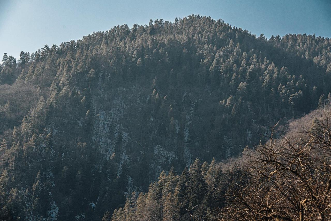 Roombox Likani Borjomi Exteriör bild